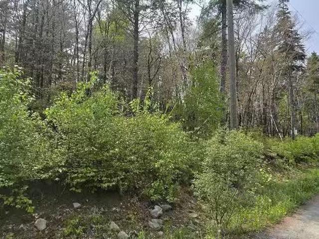Lot 2 Nathan Croft Road, Camperdown, NS, B4V 6T9 vacant land.