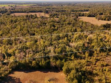 Lot 2 Oscar Rd, Greenwood, FL 32443 | MLS #784727