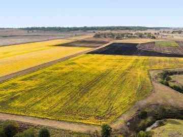 Lot 2 Rare Opportunity for Creek Frontage Acreage