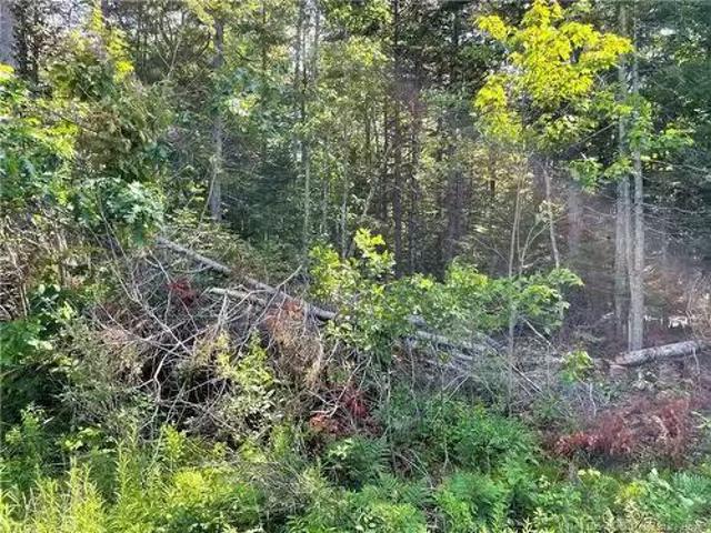 Lot 2 Route 490, Mcquade, NB, E1G 3J4 vacant land for sale.