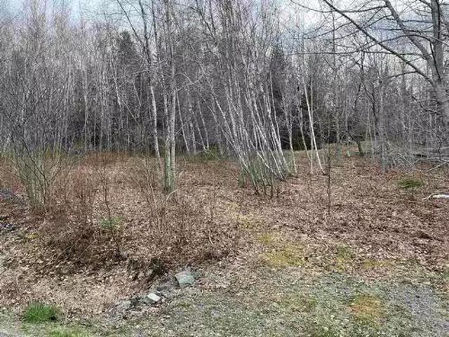 Lot 2 Sarty Road, Camperdown, NS, B4V 0X6 vacant land for sa.