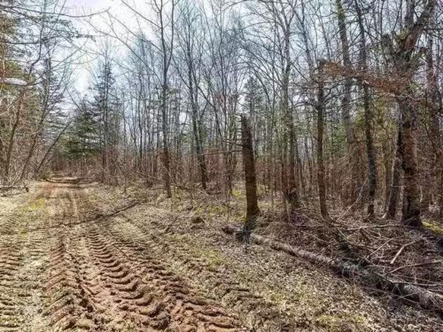 Lot 2 Seaman Street, East Margaretsville, NS, B0S 1N0 vacant.