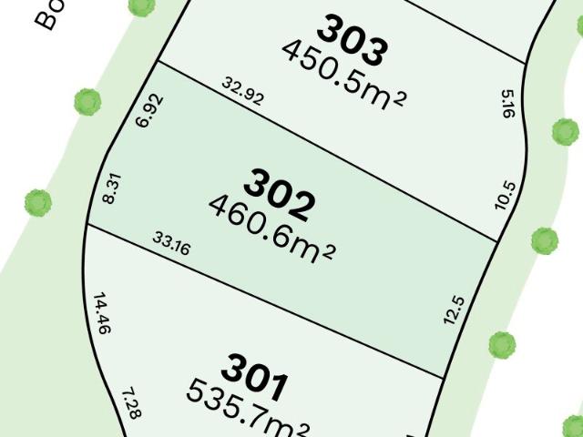 Lot 302 Canopy Collection
