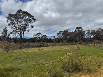 LOT 30 WHEELHOUSE ROAD, WEHLA