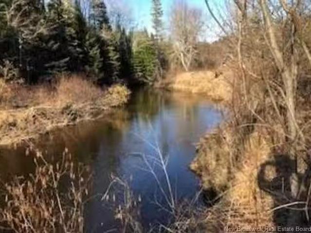 Lot 3227 Route 495, South Branch, NB, E4W 3L6 vacant land fo.