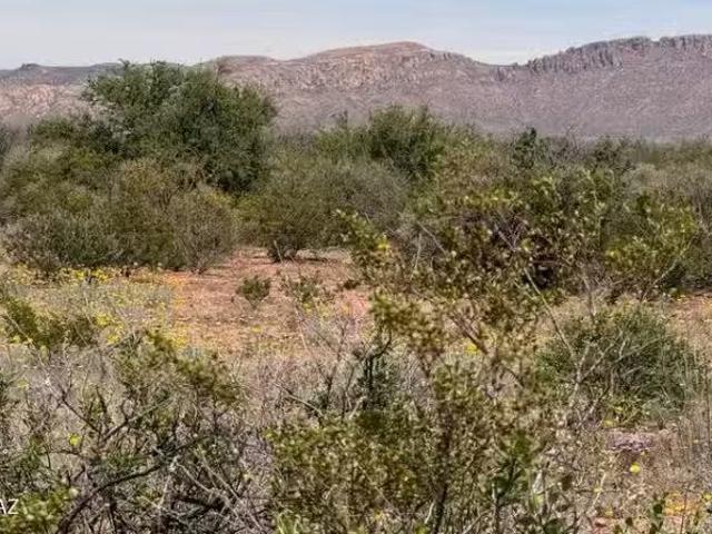 Lot 3940 N Valladolid Dr #3940, Douglas, AZ 85607 MLS 22610388