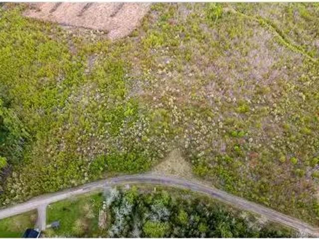 Lot 39 Davidson Rd, Anagance, NB, E4Z 1E1 vacant land for sa.