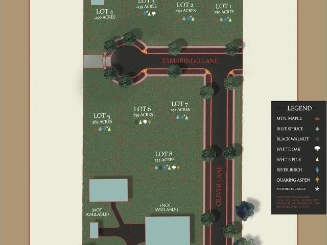 1338 W Tamarindo Lane, Hayden, US, ID