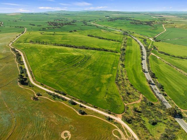 Lot 43 Horrocks Highway Yacka 213 acres/86.2Ha