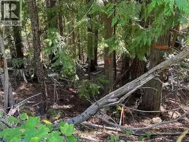 Lot 43 Vickers Trail Lot# 43, Anglemont, BC, V0E 1M8 vacant.