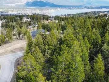 Lot 48 Pine Ridge Mountain Lane, Invermere, BC, V0A 1K4 vaca.