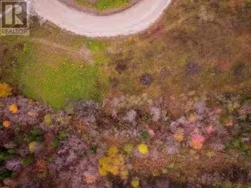 Lot 4 Adventure Drive, Hughes Brook, NL, A2H 4A1 vacant land.