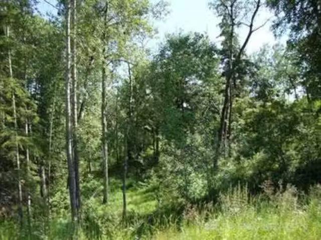 Lot 4 Blk 5 Lakeside Drive, Perch Lake, SK, S0M 2G0 vacant l.