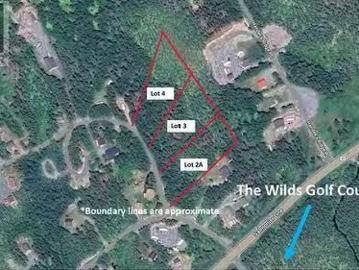 Lot 4 Fraser Sub Division, Forest Field Area /Salmonier Line.
