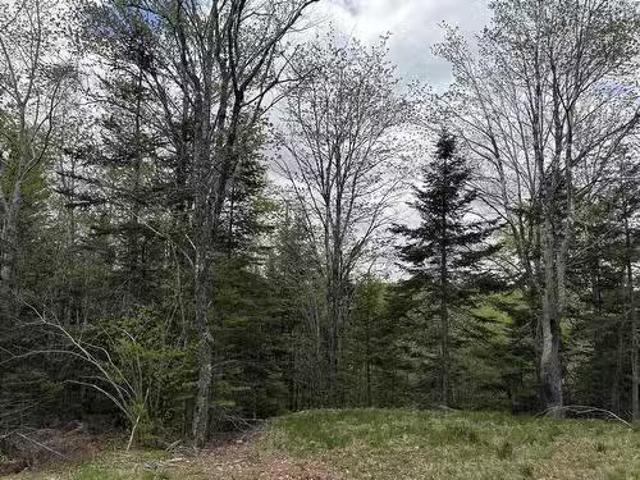 Lot 4 Highway 14, Upper Nine Mile River, NS, B2S 2Z3 vacant.