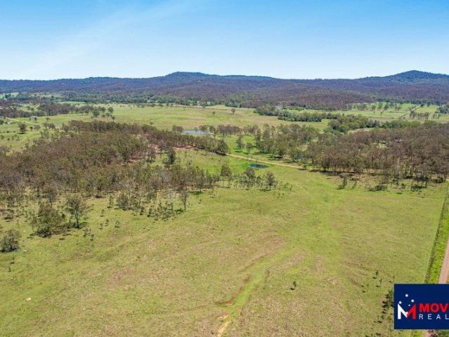 LOT 50 | APPROX. 38 ACRES | ALL OFFERS INVITED