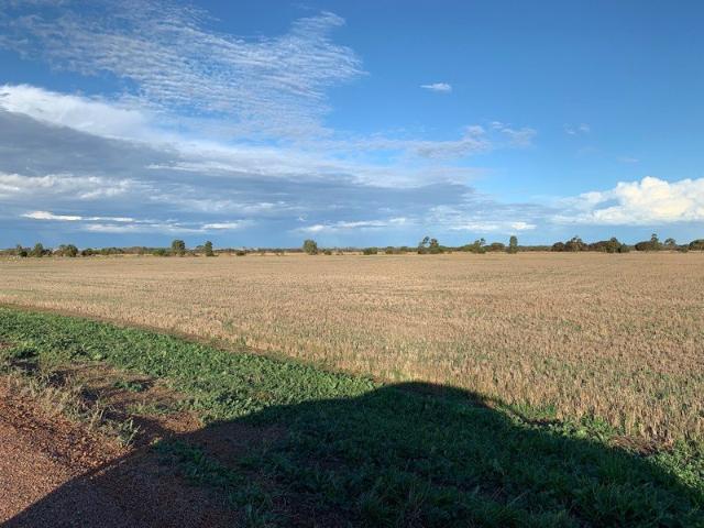 Lot 527 Verrucosa Parade, Hopetoun WA