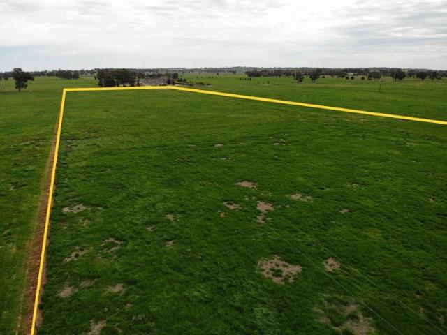 LOT 5/ 262 WHITEHEAD STREET, COROWA. 19.99 ACRES OF PRIME RESIDENTIAL LAND