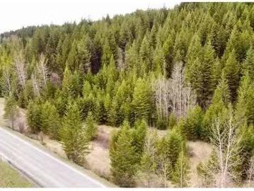 Lot 5 Canim Hendrix Lake Road, Canim Lake, BC, V0K 1J0 vacan.