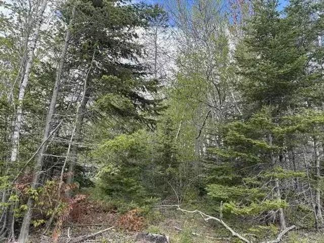Lot 5 Highway 14, Upper Nine Mile River, NS, B2S 2Z3 vacant.
