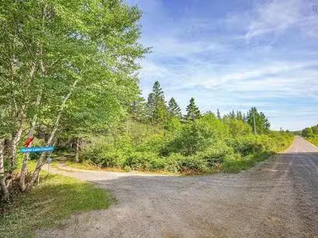 Lot 5A Hectanooga Road, Briar Lake, NS, B0W 2Y0 vacant land.