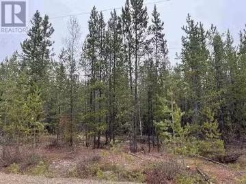 Lot 65 Robertson Road, Prince George, BC, V0J 3A3 vacant lan.