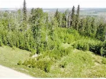 Lot 6 Moore Way, Dawson Creek, BC, V1G 4G3 vacant land for s.