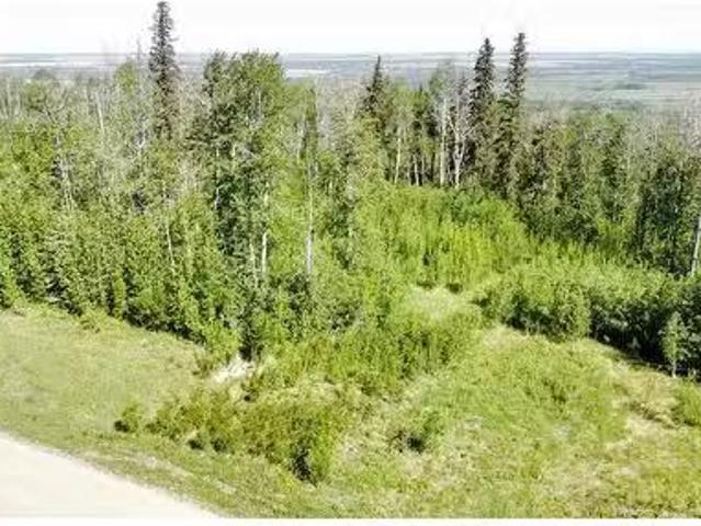 Lot 6 Moore Way, Dawson Creek, BC, V1G 4G3 vacant land for s.