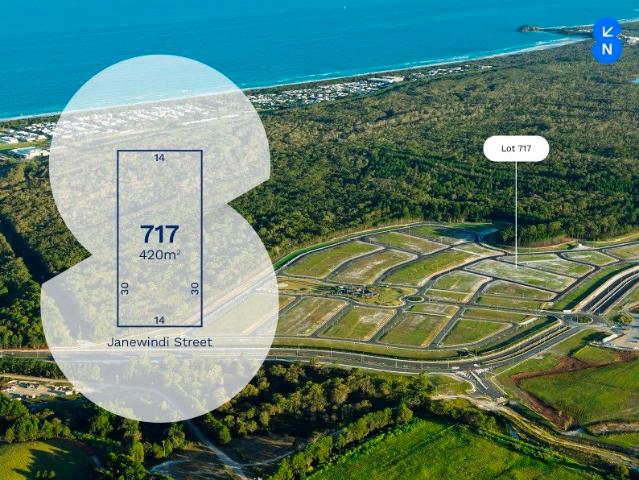 Lot 717