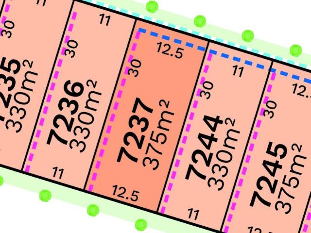 Lot 7237