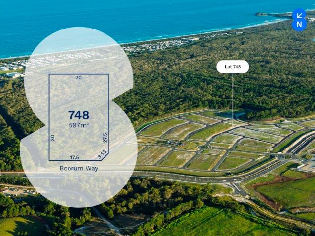 Lot 748