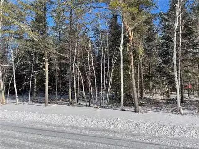 Lot 74 17 Honey St, Miramichi, NB, E1N 3P9 vacant land for s.