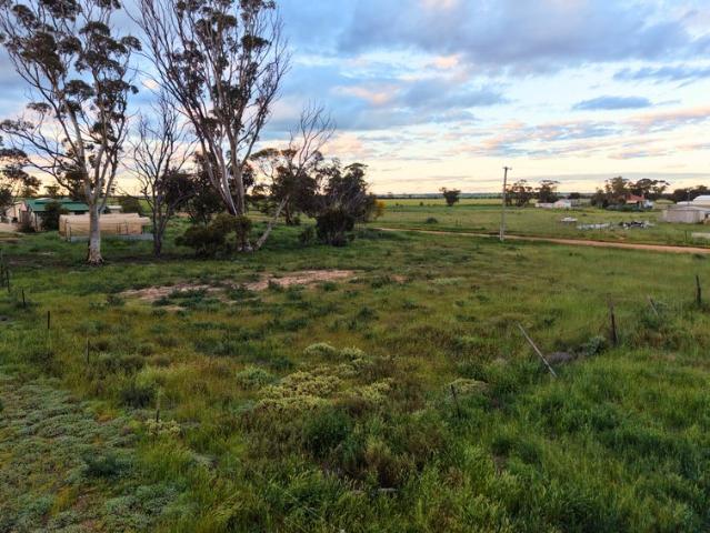LOT 74 GEORGE STREET, DOODLAKINE GENEROUS COUNTRY BLOCK