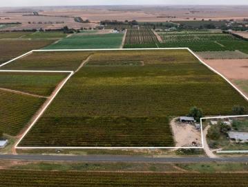 Lot 795 Drummond Avenue, Loxton & Lot 22 Rattey Road, Loxton