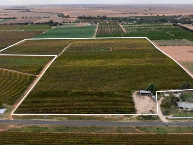 Lot 795 Drummond Avenue, Loxton & Lot 22 Rattey Road, Loxton