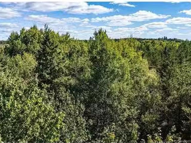 Lot 79 6 De La Traverse, Saint Paul, NB, E4T 3M6 vacant land.