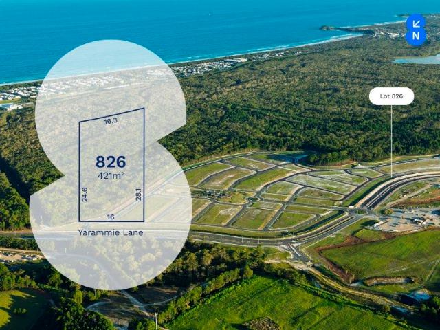 Lot 826