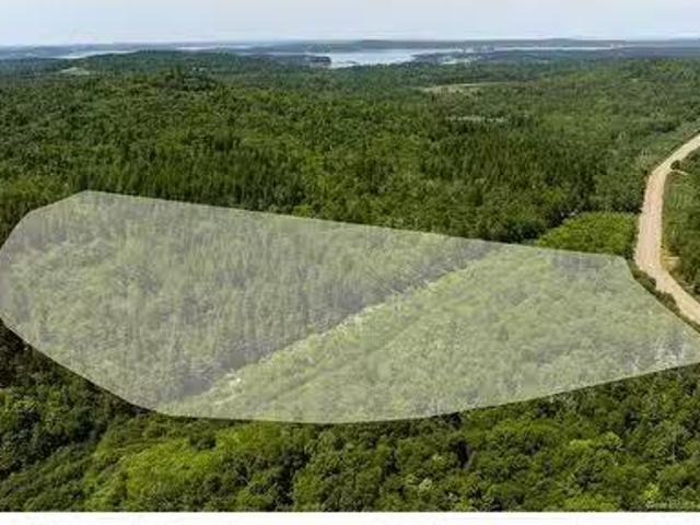 Lot 86 130 Fundy Dr, Campobello Island, NB, E5E 1C1 vacant l.