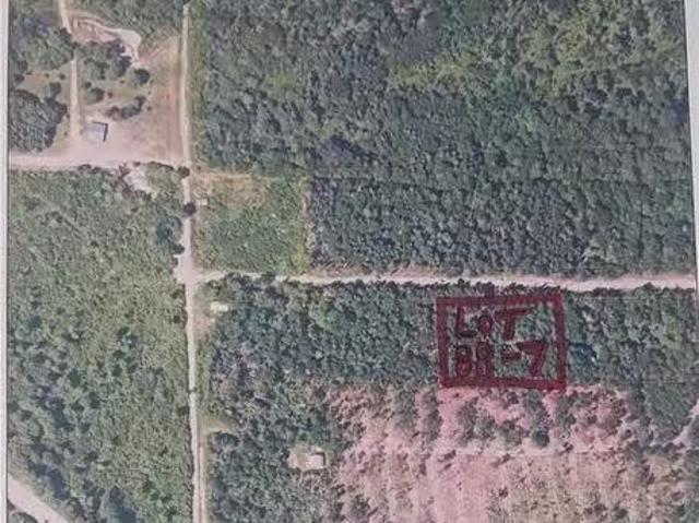 Lot 88 7 Divide Rd, Divide, NB, E7L 1K6 vacant land for sale.