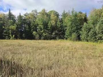 Lot 8 Highway 368, Fountain Road, NS, B0K 1Y0 vacant land fo.
