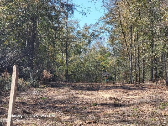 Lot 8 NW Womble Rd, Altha, FL 32421 | MLS #769671