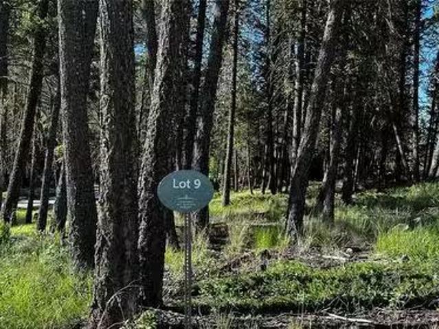 Lot 9 Mountainview Drive, Fairmont Hot Springs, BC, V0B 1L1.