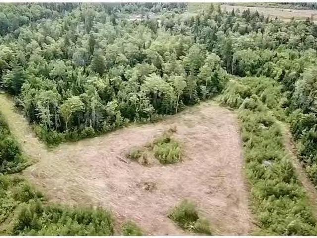 Lot 9 Peck Meadow Road, Greenfield, NS, B4P 2R1 vacant land.