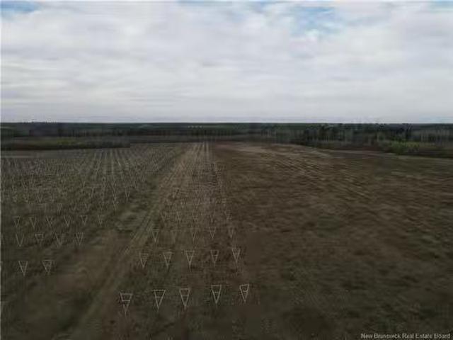 Lot Ch Perry, Sainte Anne De Kent, NB, E4S 1C4 vacant land f.