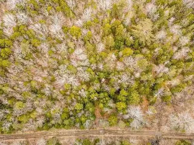Lot A Shore Road, Forest Glade, NS, B0P 1R0 vacant land for.