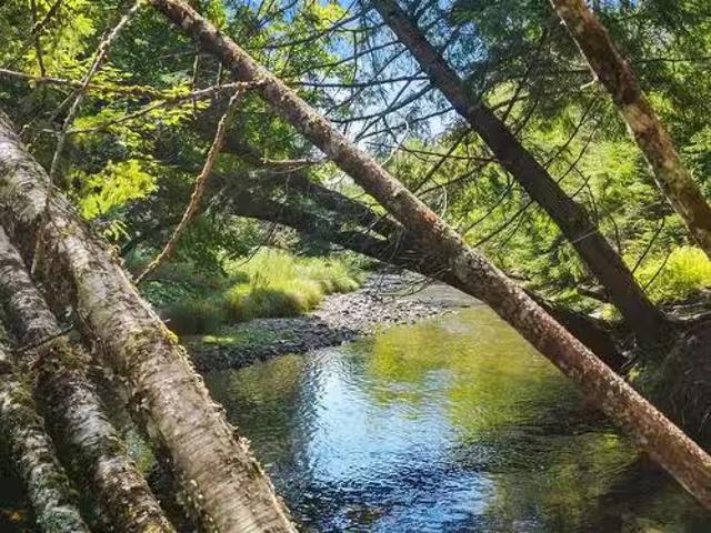 Lot Da23 2 Highway 311 Highway, West Earltown, NS, B0K 1V0 v.