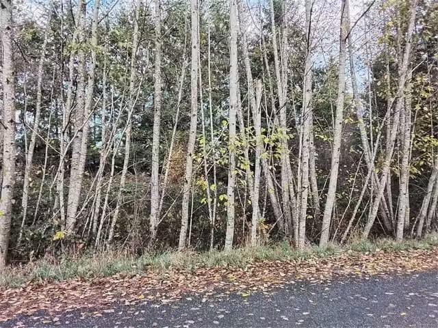 Lot for sale in Courtenay, Lot E Tatton Rd, 1039101