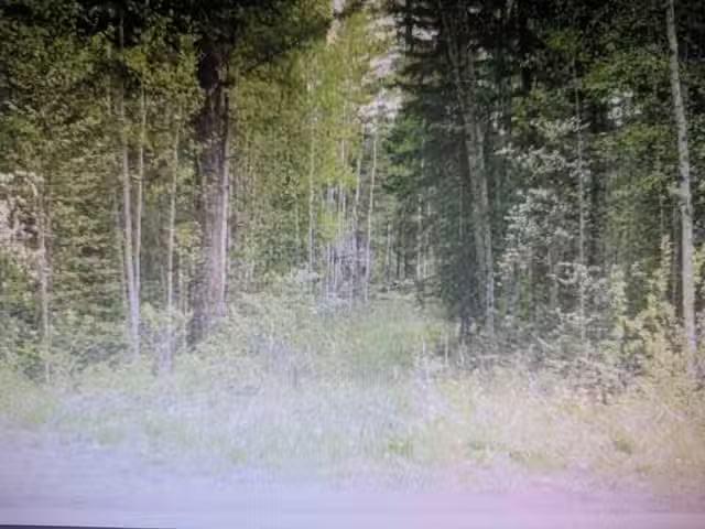 Lot for sale in Canim Lake, 100 Mile House, Lot 24 Kokanee Roa.