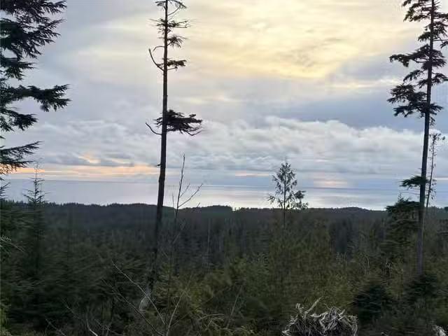 Lot for sale in Bamfield, 0 Michigan Main Rd, 1027791