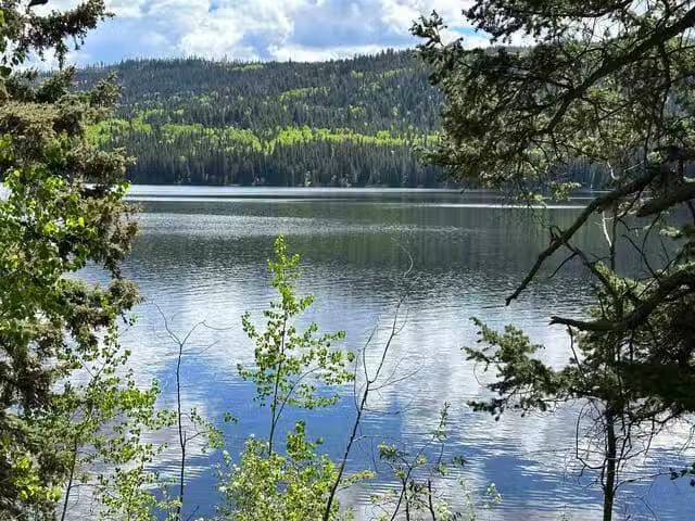 Lot for sale in Bridge Lake, 100 Mile House, 8680 Eagan Lake R.